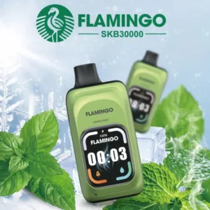 Flamingo Miami Mint Ice SKB30000/1CT