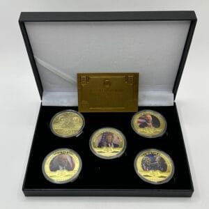 Coin Collection Box
